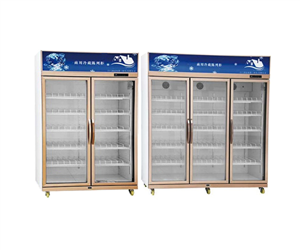 BXF風直冷玻璃門展示櫃