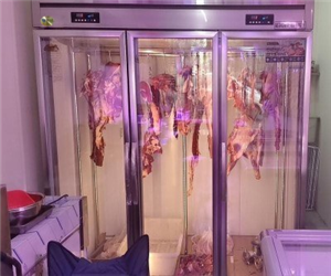 貴陽立式挂肉櫃玻璃門冷櫃