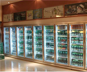 廣東省廣州市揭陽市飲料櫃案例